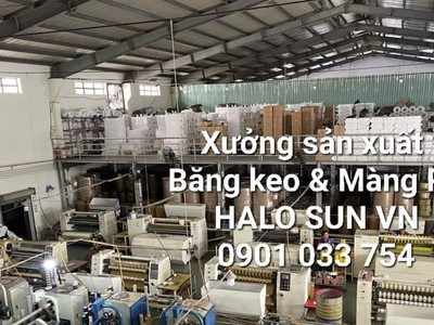 Xưởng sản xuất Băng keo và Màng PE cần tìm đối tác phân phối trên Toàn Quốc 6