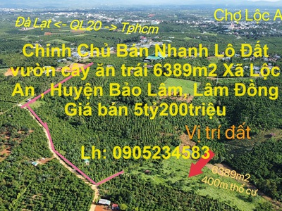 Chính chủ bán nhanh lô đất vườn cây ăn trái 6389m2 xã lộc an , huyện bảo lâm, lâm đồng 0
