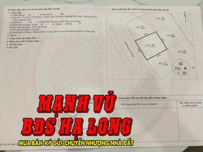 Cần bán nhanh ô đất biệt thự Geleximco Bãi Cháy 314m2 quay biển sổ đỏ lâu dài 2