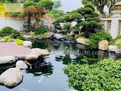 Thiết kế hồ cá Koi sân vườn đẹp chuẩn ở Đồng Nai, HCM 0