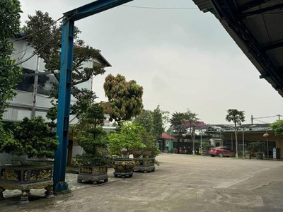 Cho thuê kho, xưởng tại Đường 379. YÊN MỸ. Tỉnh HƯNG YÊN 8
