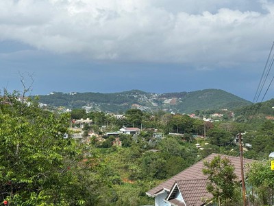 Bán biệt thự view rừng thông tại phường 3 đà lạt 5200m2 4