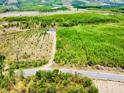 Hạ giá đất vườn mặt tiền tỉnh lộ  b xã khánh nam đã đăng kí 1000m thổ rộng 2325m ngang 25m cách nha 3