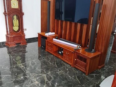 Bán biệt thự c4, đường hoàng văn thái- trần lãm- tp thái bình. diện tích 226m 0