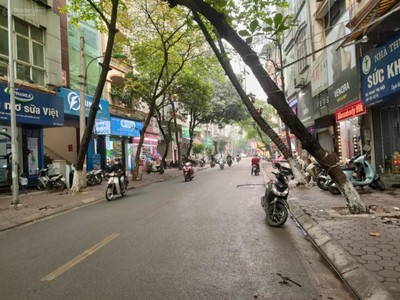Vip   mp vương thừa vũ lê trọng tấn thanh xuân vỉ hè oto kd 108m 6t giá 49 tỷ tl 1