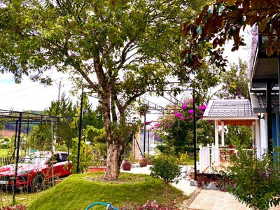Bán 2000m2 đất Tà Nung TP Đà Lạt, có sân vườn nhiều loại trái cây 12Tỉ, LH 0888-113-882 4