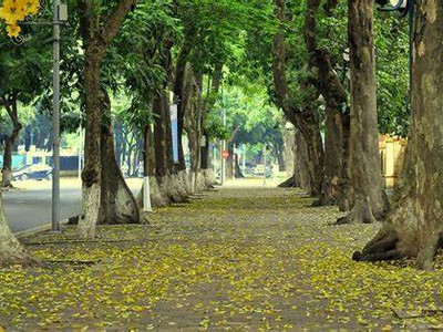 Bán nhà mặt phố VIP Phan Đình Phùng - Ba Đình 52m 4t mặt tiền 4m 43 tỷ 0