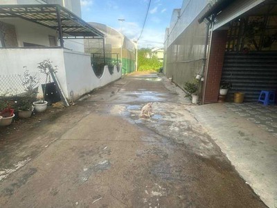 Bán đất biệt thự vạn thành phường 5 đà lạt 205m2 1