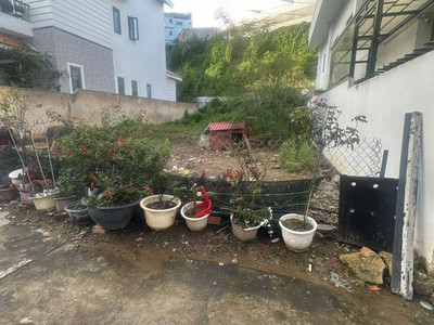 Bán đất biệt thự vạn thành phường 5 đà lạt 205m2 0