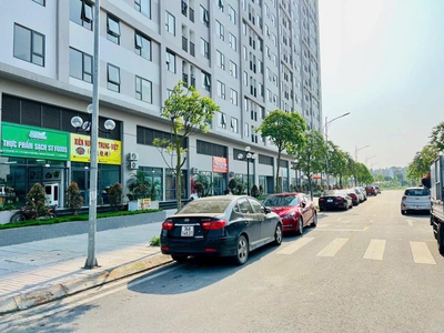 Bán đất KDC Trần Hưng Đạo, TP Hải Dương, 72.5m2, mt 5m, hướng nam nhìn sang chung cư 1