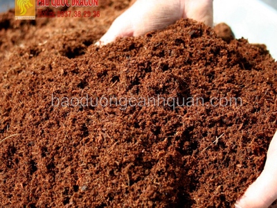Đất màu trồng cây, phù sa giá ok ở HCM, Đồng Nai, Long An 0