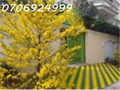 Chính chủ bán biệt thự 300m2 - góc 2 mặt tiền 12x25 m khu vip tên lửa 3