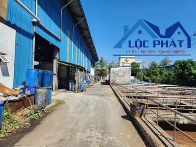 Bán xưởng kcn thống nhất đồng nai 13.800 m2 chỉ 62 tỷ 3