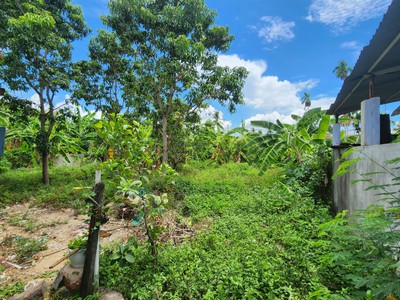 Bán Nhà Vườn Diện Tích 623.5 M2 Đường Phú Nông Xã Vĩnh Ngọc Nha Trang 7