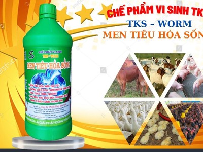 MEN TIÊU HÓA SỐNG : Tăng Cường Hấp Thu, Tăng Sức Đề Kháng, Ăn Nhiều, Nhanh Lớn Cho Lợn Gà Vịt- Chai 4