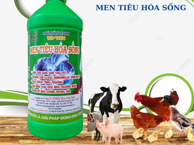 MEN TIÊU HÓA SỐNG : Tăng Cường Hấp Thu, Tăng Sức Đề Kháng, Ăn Nhiều, Nhanh Lớn Cho Lợn Gà Vịt- Chai 5