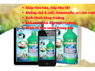 MEN TIÊU HÓA SỐNG : Tăng Cường Hấp Thu, Tăng Sức Đề Kháng, Ăn Nhiều, Nhanh Lớn Cho Lợn Gà Vịt- Chai 6