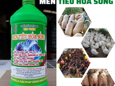 MEN TIÊU HÓA SỐNG : Tăng Cường Hấp Thu, Tăng Sức Đề Kháng, Ăn Nhiều, Nhanh Lớn Cho Lợn Gà Vịt- Chai 0