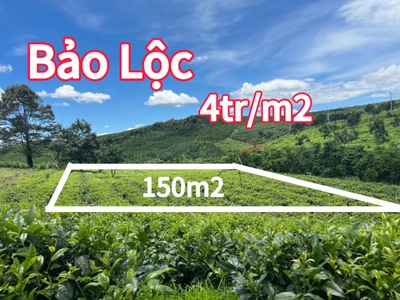 Đất Lộc Ngãi view hồ DakLong Thượng còn ít lô giá tốt 5xx sỡ hữu 150m2 có thổ cư sổ sẳn 0