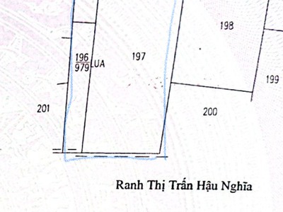 Cần bán 8500m2 đất lúa gồm 4 thửa vị trí ấp gò sao, xã tân phú, huyện đức hoà, tỉnh long an 4