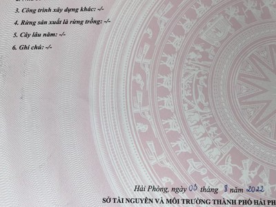 Bán nhà quán nam 45m 4 tầng mới, full nội thất chỉ 2.8 tỉ gần ngay cầu lạch tray 4