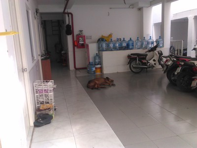 Cho thuê phòng giá rẻ có hệ thống pccc an toàn trung tâm phường 3 0