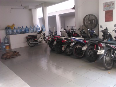 Cho thuê phòng giá rẻ có hệ thống pccc an toàn trung tâm phường 3 1