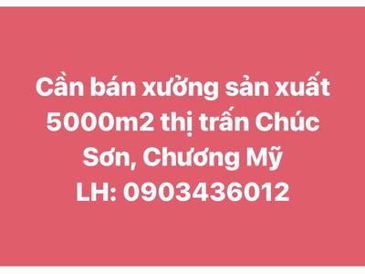 Chính chủ cần bán tài sản xưởng sản xuất 5000m2 thị trấn chúc sơn, chương mỹ 0