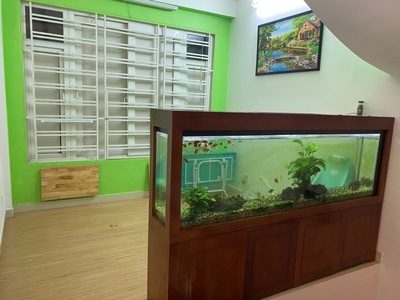 Bán nhà Thông tấn xã Bùi Ngọc Dương, 45m2 x 5T, phân lô, gần ô tô hơn 7 tỷ 0