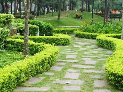 Chính chủ bán căn 3n2vs 109m2 thăng long number one view thẳng cv thanh xuân, full đồ cực đẹp 4
