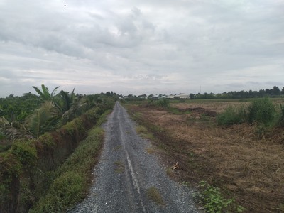 Chính chủ bán đất tại huyện tháp mười, tỉnh đồng tháp 3