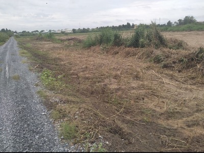 Chính chủ bán đất tại huyện tháp mười, tỉnh đồng tháp 0