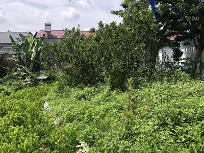 Hot hot- cần bán gấp lô đất   tại phường nam tiến , thành phố phổ yên, tỉnh thái nguyên 4