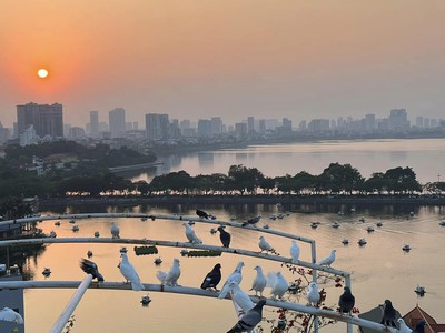 170 Tỷ 11 Tầng Hoàn Công Hồ Trúc Bạch 220M2 Có Hầm Dòng Tiền 600Tr/th 0