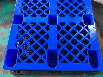 Pallet Nhựa Đắk Nông giá rẻ cạnh tranh, liên hệ ngay 8