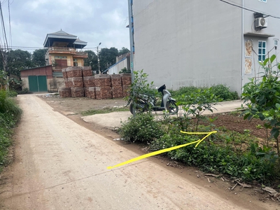 Cần bán gấp mảnh đất thổ cư diện tích 40m2, xã đại áng, thanh trì, hà nội 3