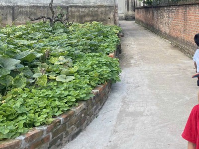 Nhỉnh nhẹ 1 tỉ có ngay lô góc 40m gần chợ trường học nhà văn hóa - gần khu dân cư đông đúc -dân trí 2