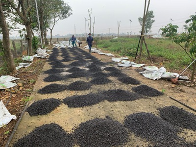 Bán và phân phối vật liệu Carboncor Asphalt tại miền bắc 4