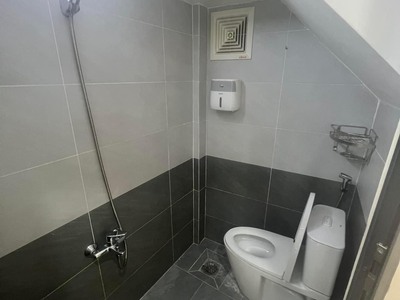 Nhà hẻm đường 17A Bình Hưng Hòa A, Bình Tân, dt 33m2, 2 lầu, 3pn, 2wc, giá 3 tỷ 250 6