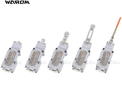 Công tắc hành trình  Position Switches  chống cháy nổ Warom 0