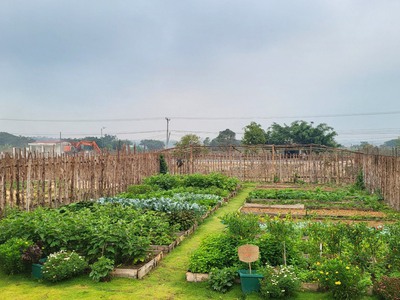 ĐẤT ĐẸP - GIÁ THANH LÝ - CHÍNH CHỦ Cần Bán gấp Lô Đất tại TP Pleiku, Gia Lai 5