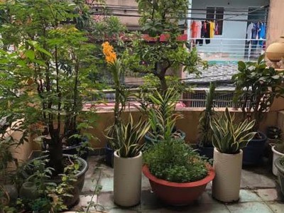Quá hiếm  hẻm xe tải 8m khu vip tt q,11. lạc long quân. dt: 3.7x16m 50m  . 4tầng 4pn . 3