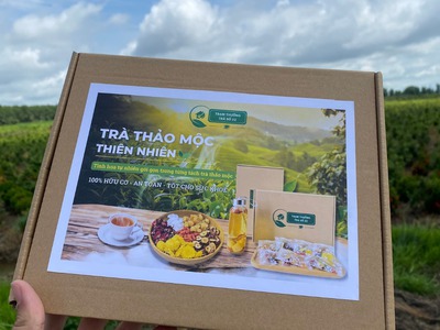 Những Loại Trà Thảo Mộc Giải Nhiệt Trị Mụn Tốt Nhất 2024 0