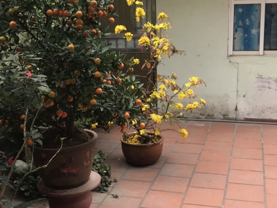 Cho thuê phòng trọ giá rẻ 4