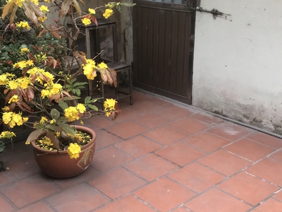 Cho thuê phòng trọ giá rẻ 2