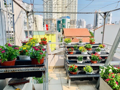 Nhà bán hẻm 193 - hxh đỗ cửa- nam kỳ khởi nghĩa  -  50 m2 - 5 tầng btct - giá 9 tỷ 5 3