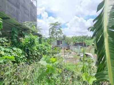 Bán đất full thổ cư sổ hồng riêng 158m2 6/10 26m gần chợ hiệp bình hiệp bình chánh thủ đức chỉ 8,7 1