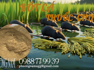 Bột Cá nguyên liệu sản xuất Thuốc Chuột tốt nhất, phù hợp nhất 1