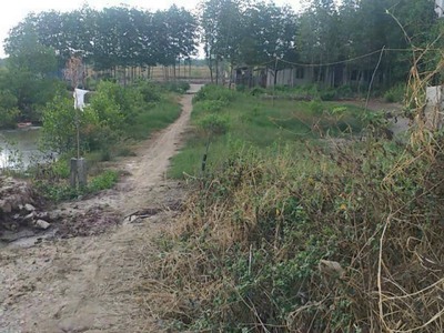 Chính chủ cần bán lô đất gồm 3 sổ liền kề thành phố cà mau, tỉnh cà mau 3