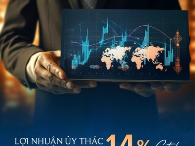 Độc quyền bán quỹ căn The Saling Quy Nhơn cho nđt sinh lời cực cao 3